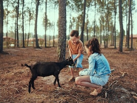 Kinderaktivitäten Bispinger Heide
