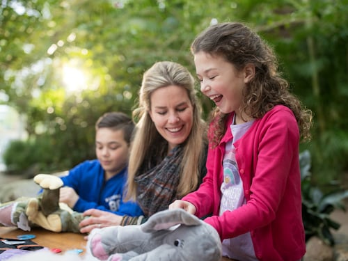 Kids Workshop: Maak je eigen knuffel De Huttenheugte