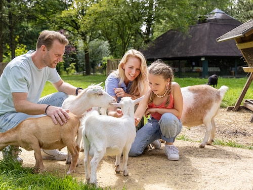 Programme Kiddies Het Heijderbos