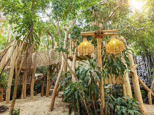Jungle Dome Het Heijderbos