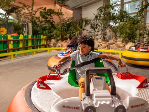 Bumper Cars De Vossemeren
