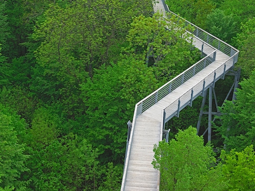 Sentier de découverte de la nature Skywalk Allgäu Park Allgäu