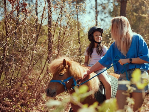 Poney Park Bostalsee