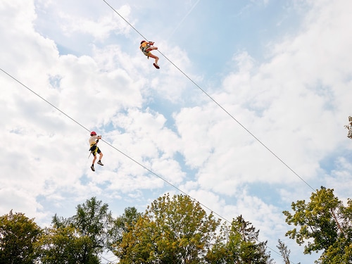 Zip Wire De Huttenheugte