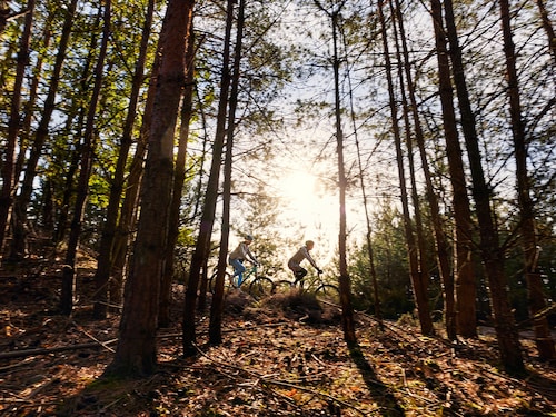 MTB Tour inkl. kurzen Fahrtechnikeinheiten Park Allgäu