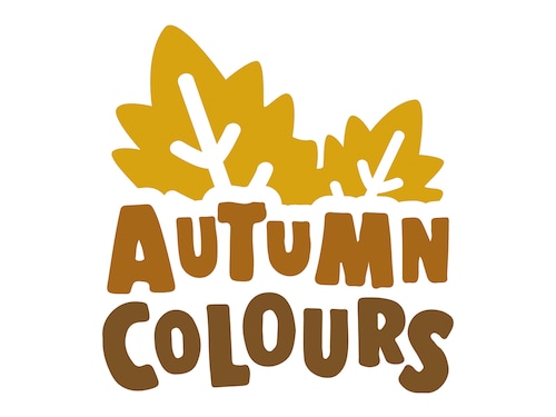 Workshop: Autumn Tree Les Landes de Gascogne