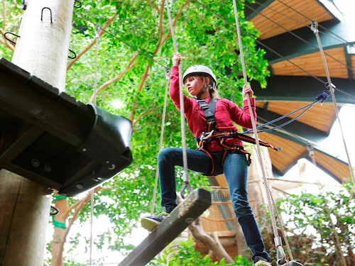 High Adventure Experience (indoor) De Vossemeren