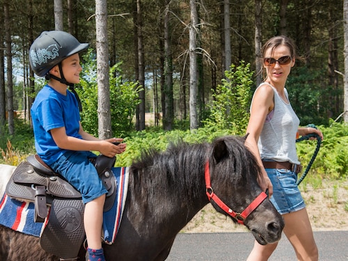 Ponyreiten Le Lac d'Ailette
