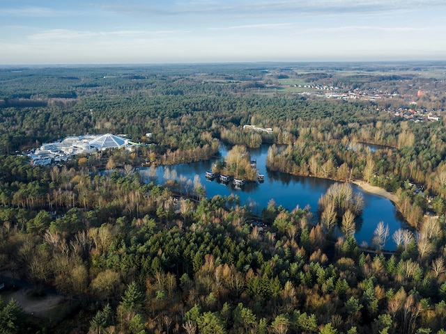 Bispinger Heide
