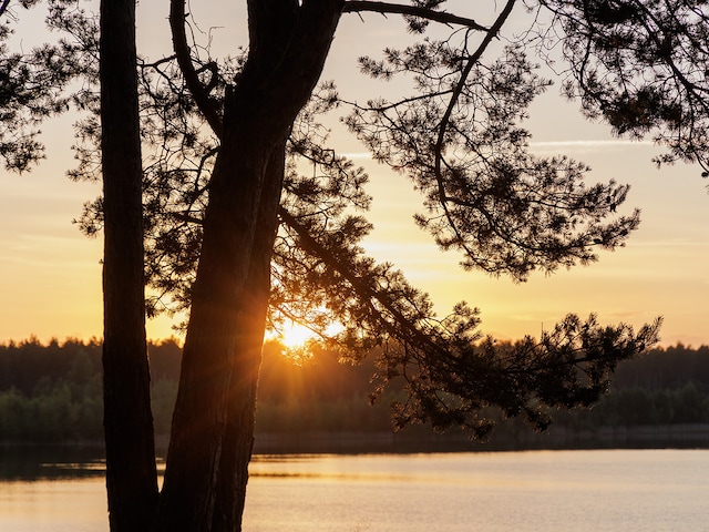 Mookerplas