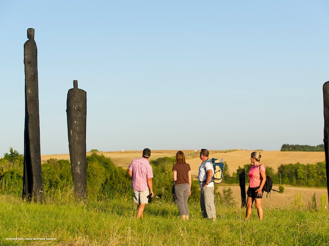 Chemin des Dames