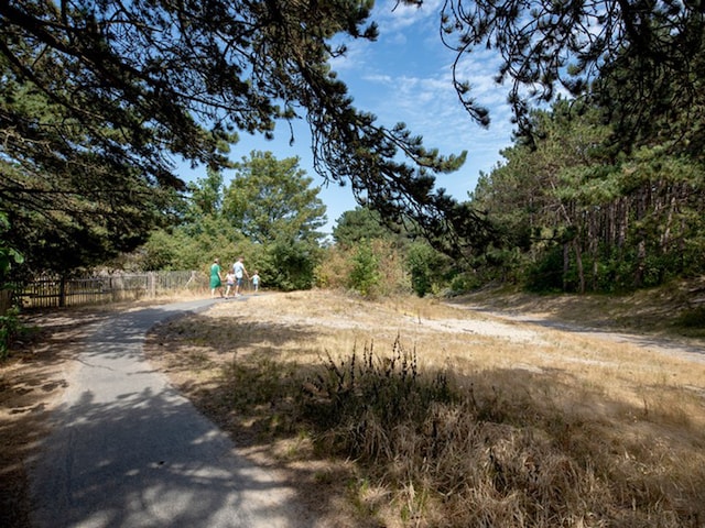 Duinbossen