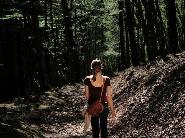 Sentier de Ninglinspo