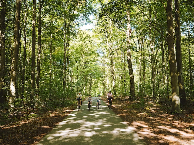 Nørreskoven Forest